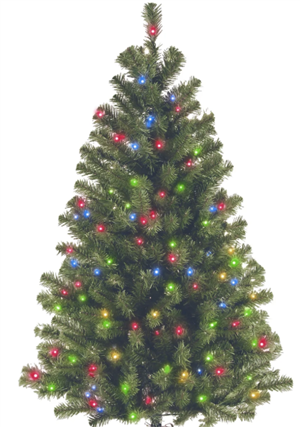 Christmas Tree